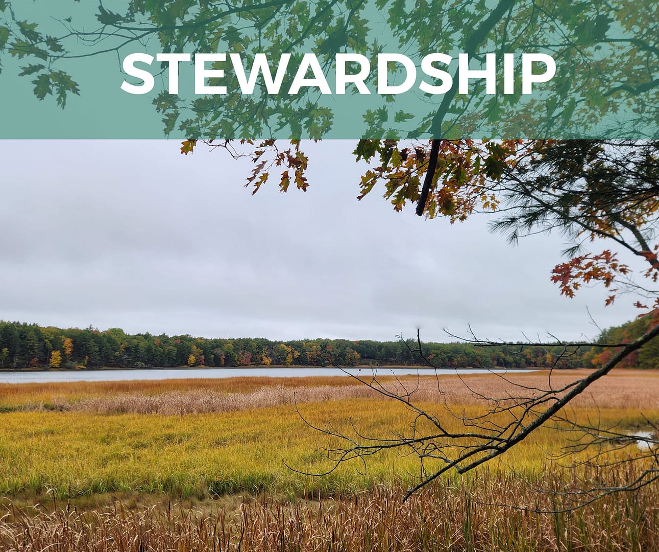 stewardship3