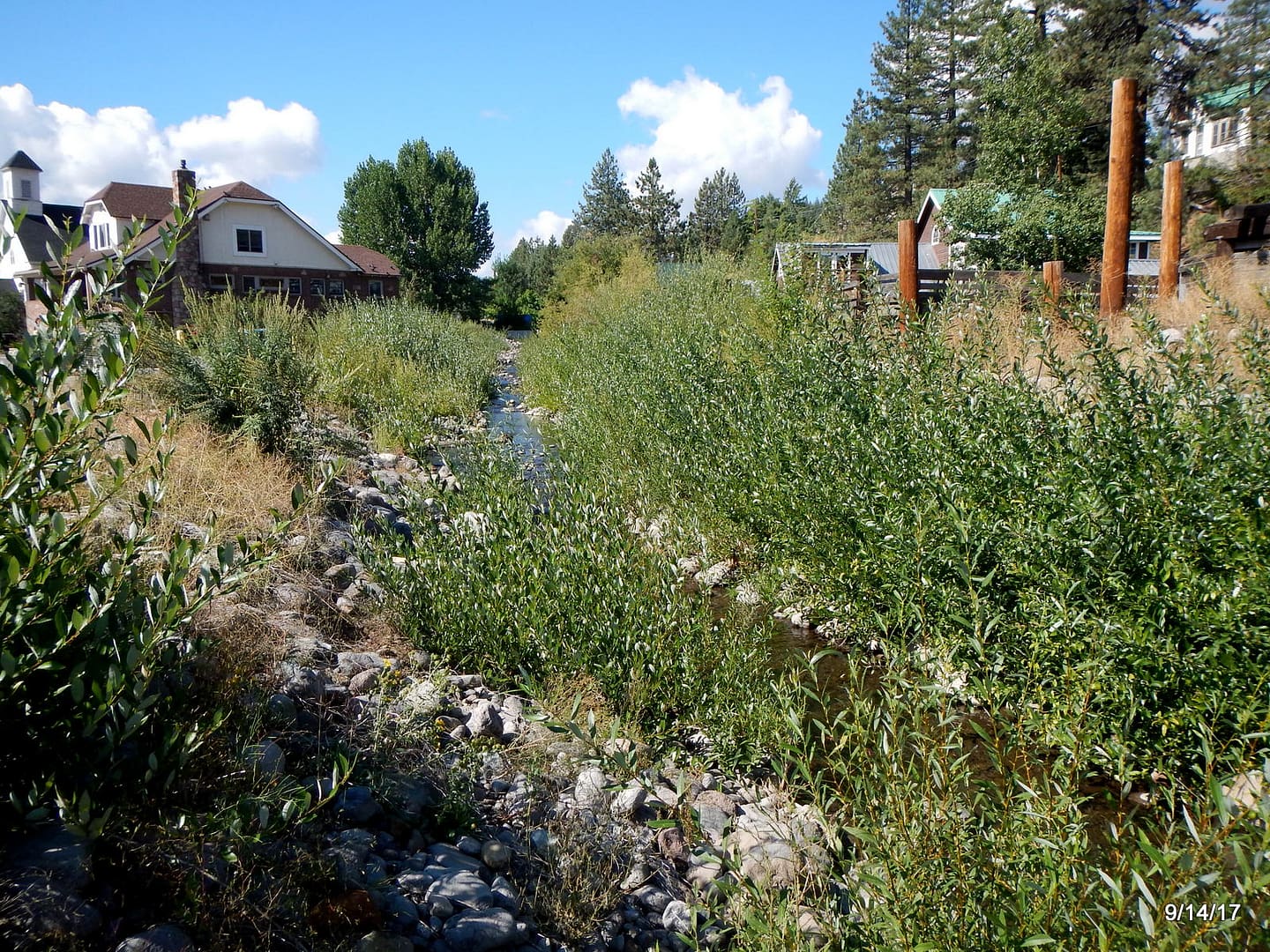 Trout Creek R1 creek and surrounding banks of Trout Creek, CA with native plantings in accordance with ecological restoration planting plan. The creek flows between residential properties and has rocks and shrubs on its banks.