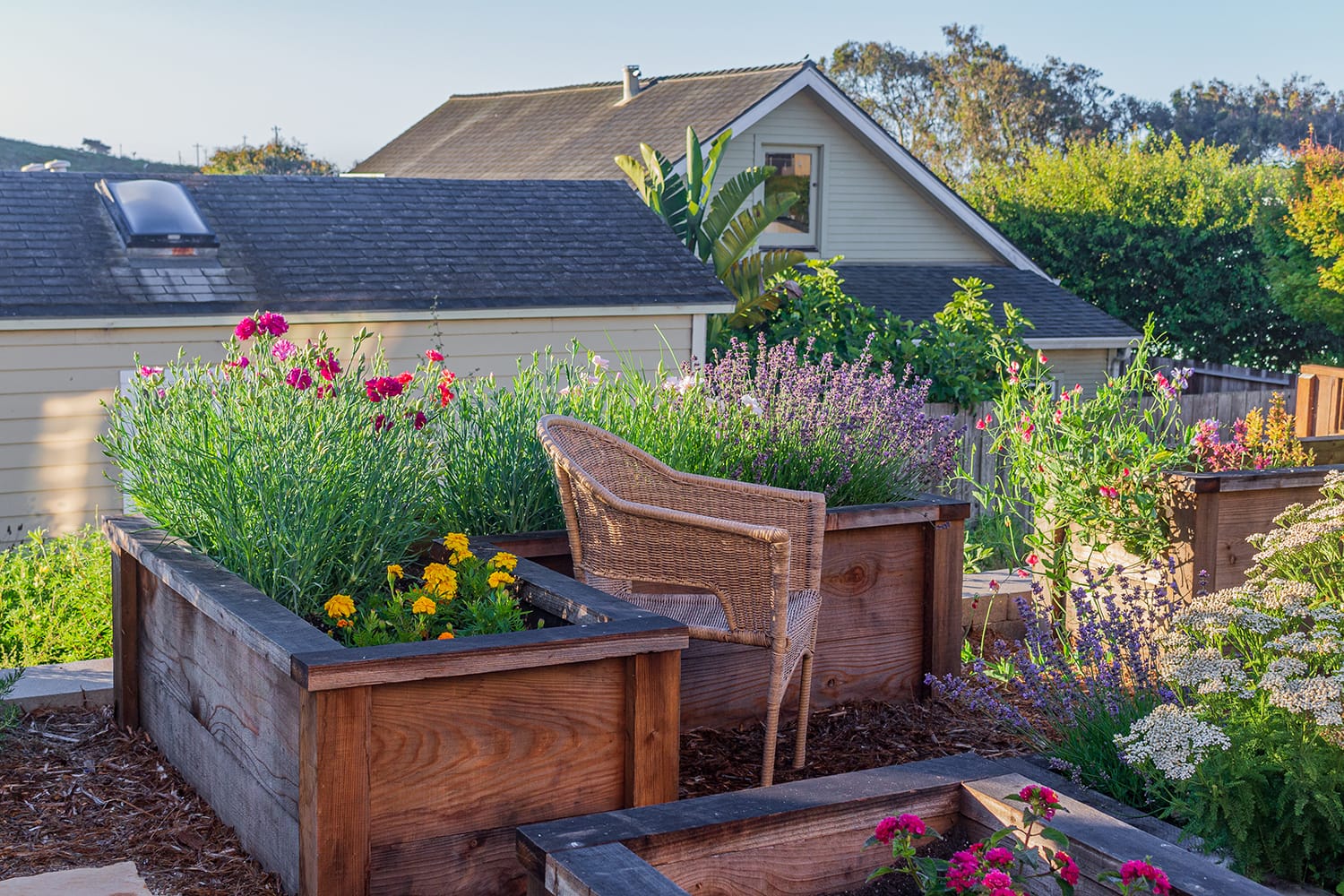 Davenport-Residence-with-raised-veggie-beds raised beds with lavender, marigold, yarrow, and other flowers in a residential landscape design with seating by Braid.Work Landscape Architecture