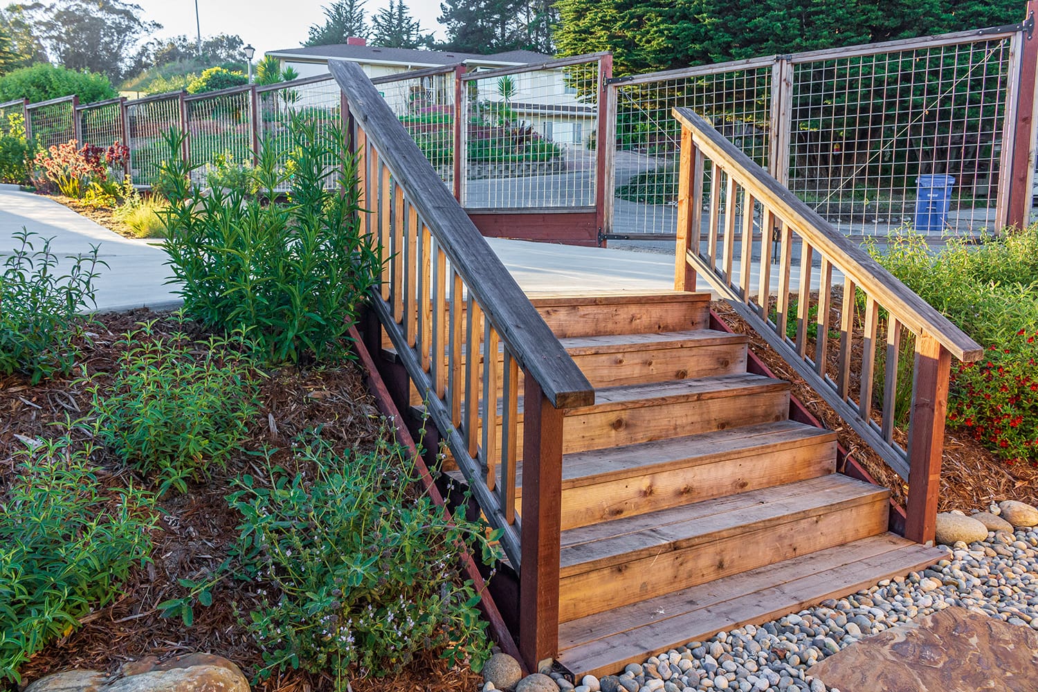 Davenport-Residence-wooden-stairs-in-native-california-plants-garden wooden stairs leading to a driveway in a garden with California native plants in a residential landscape by Braid.Work landscape architecture