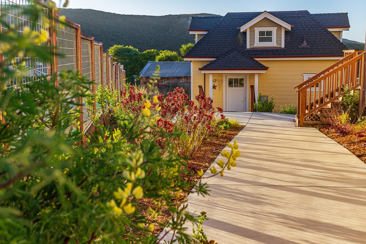 Davenport_Residence_at_sunset residential landscape with concrete walkway surrounded by California native planting beds by Braid.Work Landscape Architecture