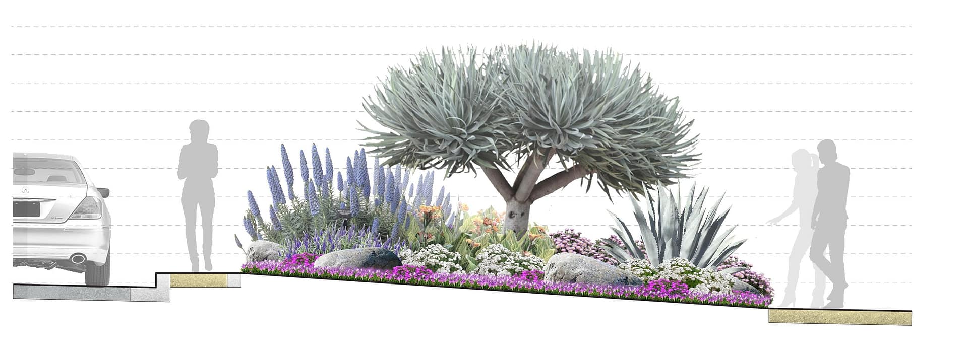 Copy of TypologySections-1ftscale_FINALS_downsized-min