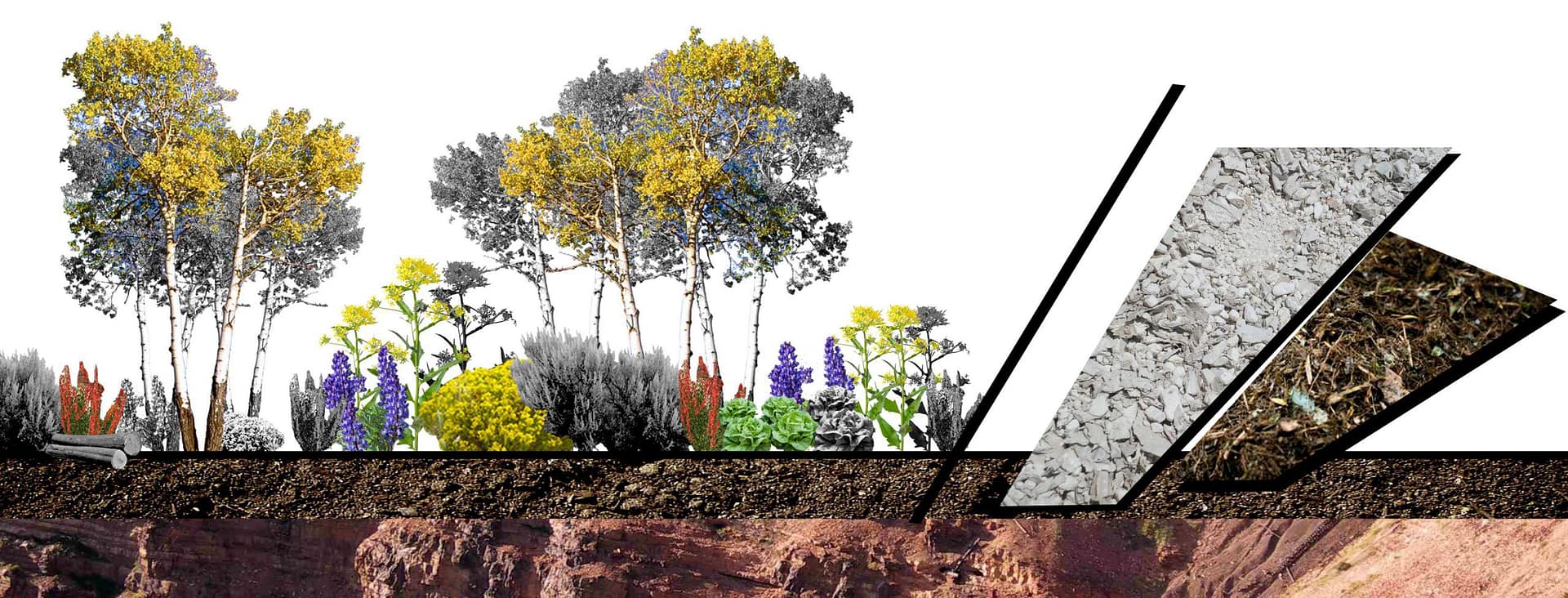 Gilman_SoilRestoration_Diagram An illustrative rendered diagram of soil conditions and layers in the Gilman Mine restoration plan designed by Braid.Work Landscape Architecture.