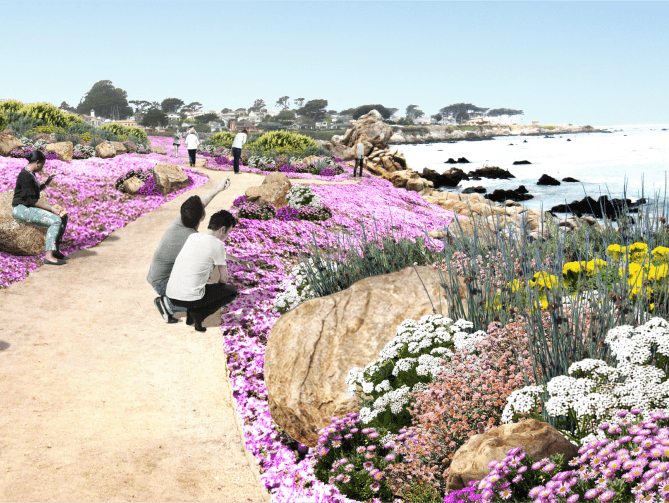 Portfolio-Perkins-Park@3x-1024×503-min